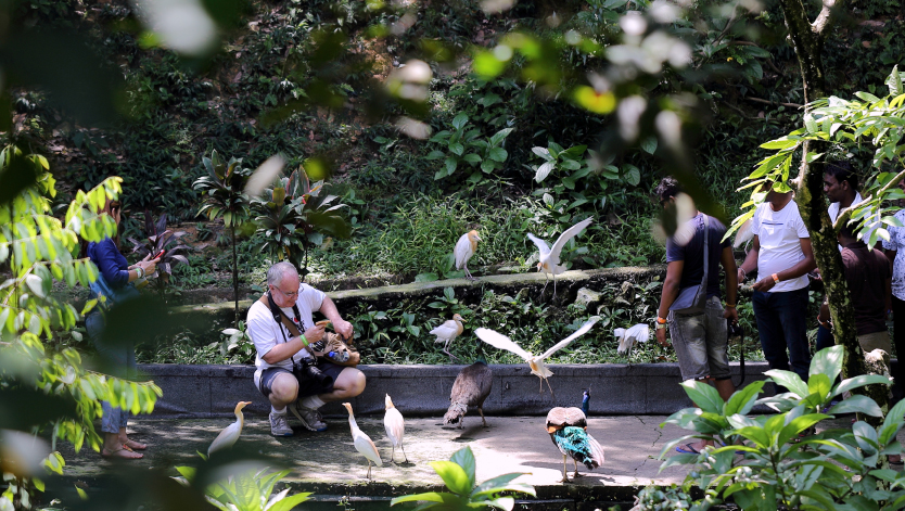 The Bird Park is an interesting tourist place in Malaysia