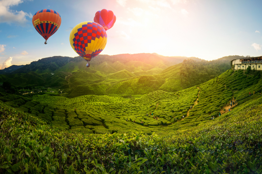 Cameron Highlands offers some of the most beautiful climbing routes in the world