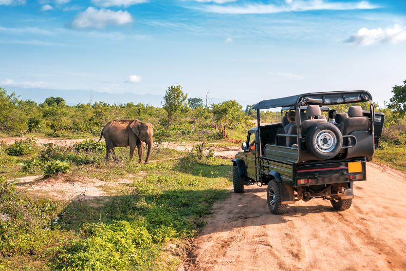 Yala National Park