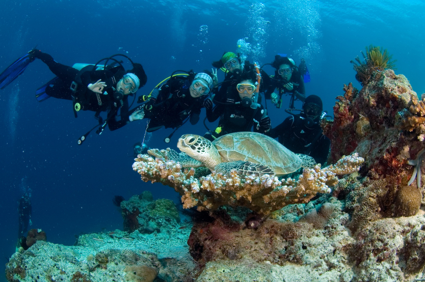 Sipadan, the only oceanic island in Malaysia, is encircled by the tropical waters of the Celebes Sea