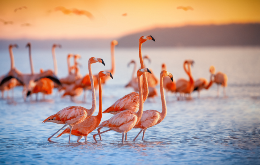 Lake Nakuru is a scenic body of water in the Rift Valley