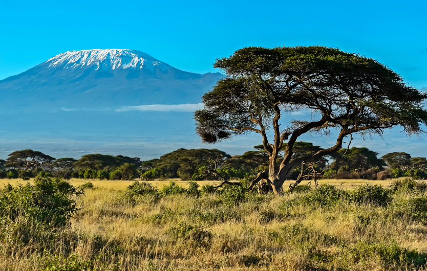 The best 5 must-see spots in Kenya