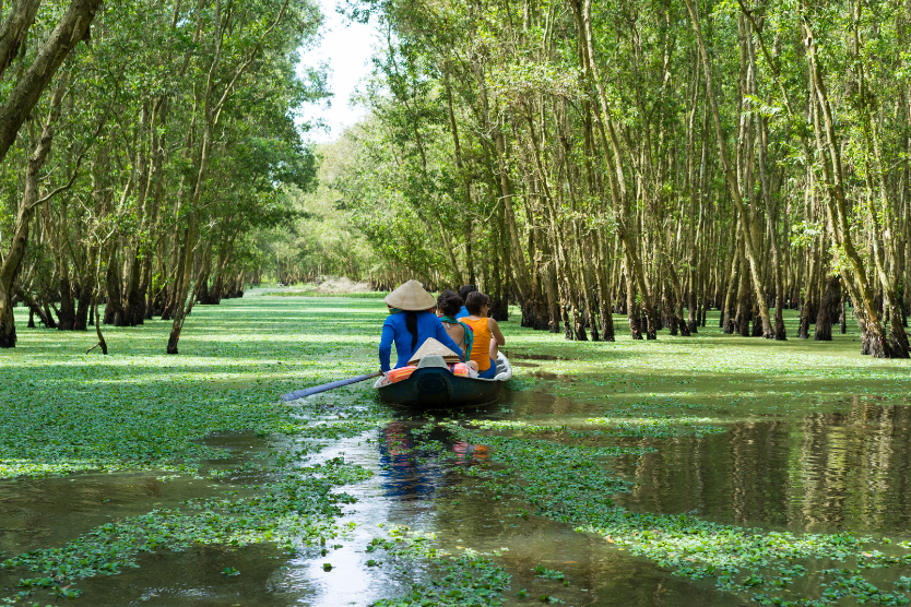 The Mekong River Delta