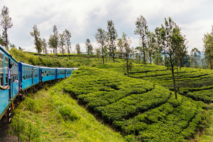 Train journey in Sri Lanka